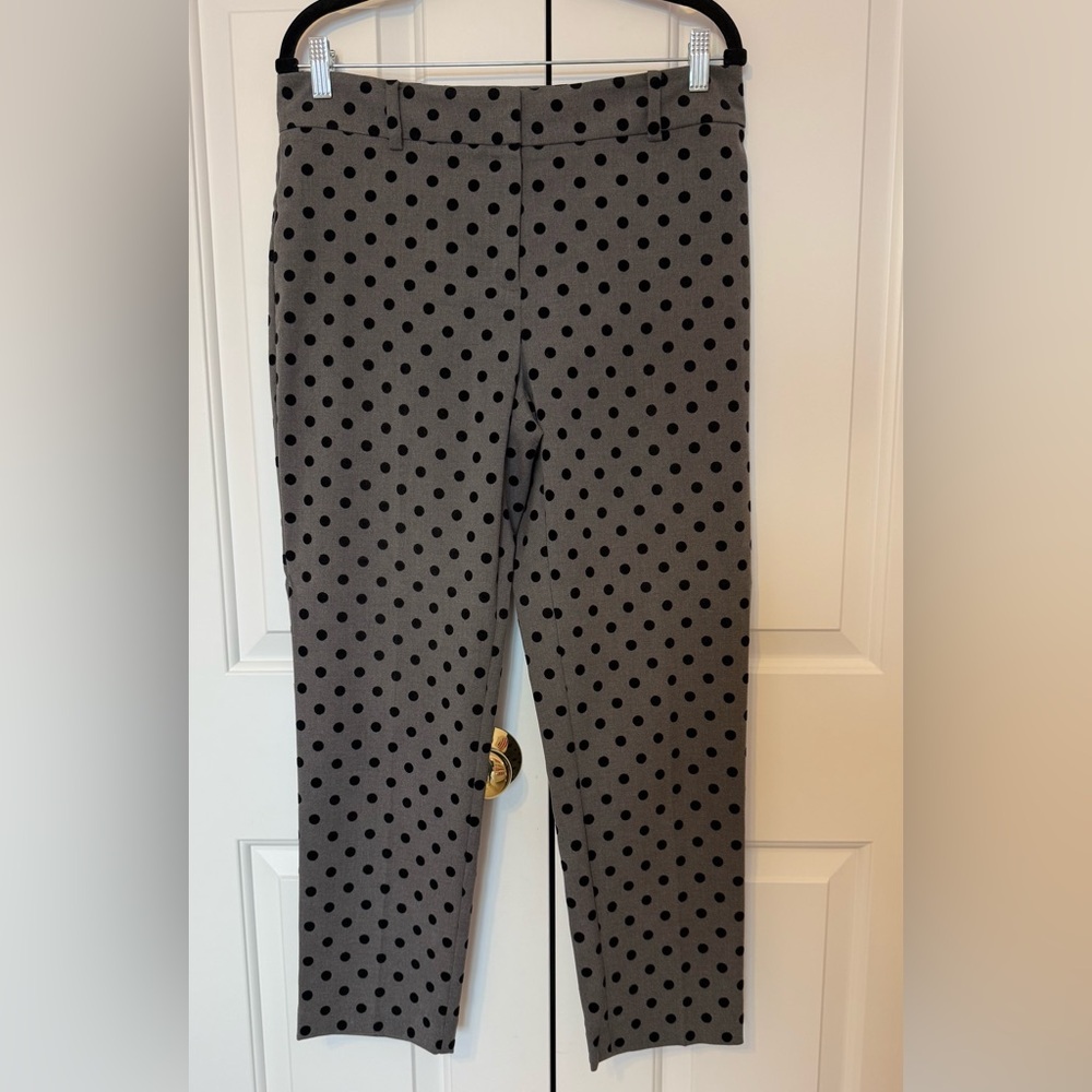 Ann Taylor Factory Polka Dot Pants